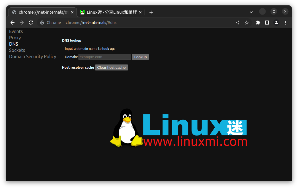 如何在 Linux 上检察和刷新 DNS 缓存